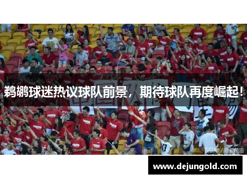 鹈鹕球迷热议球队前景，期待球队再度崛起！