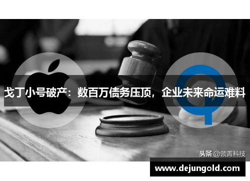 戈丁小号破产：数百万债务压顶，企业未来命运难料